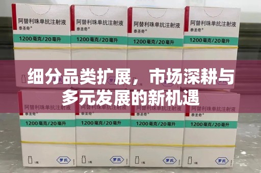 运城细分品类扩展，市场深耕与多元发展的新机遇