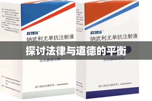 运城探讨法律与道德的平衡