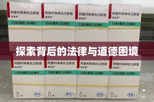 运城探索背后的法律与道德困境