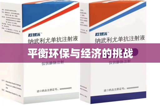 运城平衡环保与经济的挑战